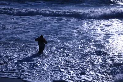 DSC_0437 (Large).JPG